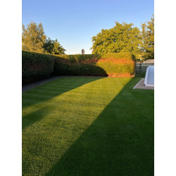 Top_Travnik_Super_Sport