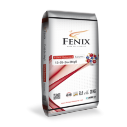 FENIX-BALANCED-AUTUMN-13-05-24